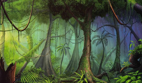 Джунгли Картун