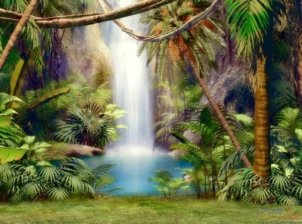 Тропические леса для детей