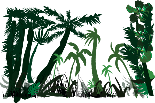 Тропические деревья силуэт