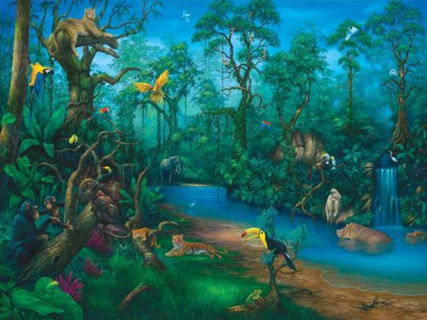 Сказочные джунгли