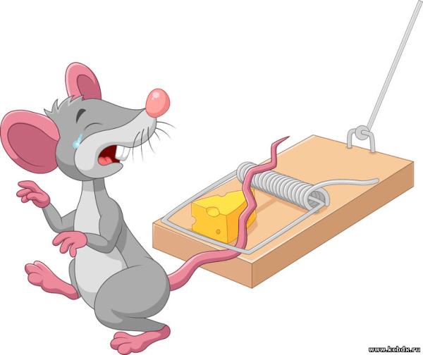 Мышь попалась в мышеловку