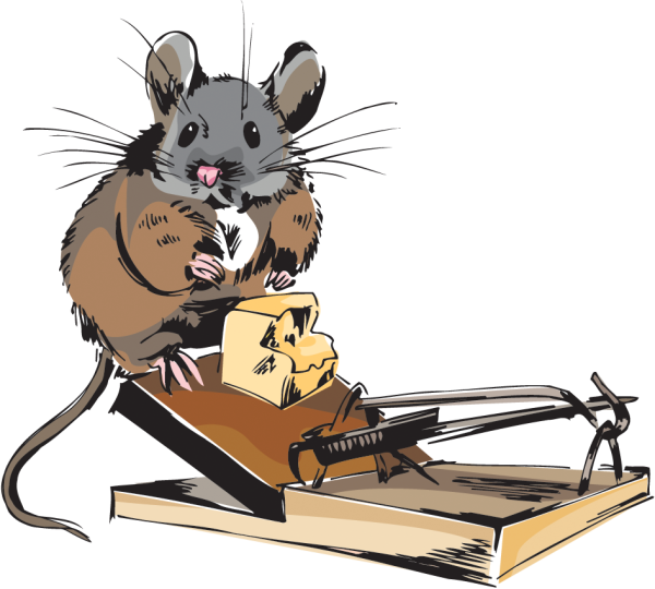 Мышь в мышеловке