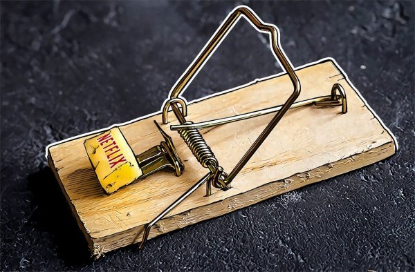 Сыр в мышеловке