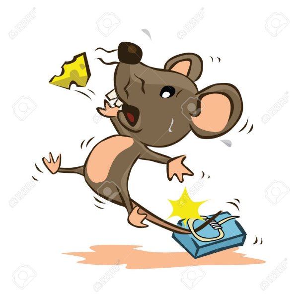 Мышь раздавило мышеловкой