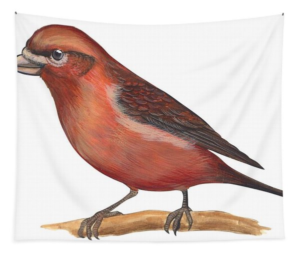 Клест с подписью