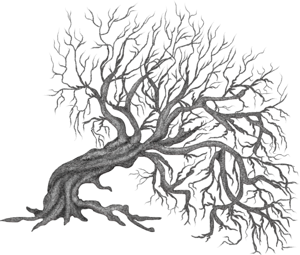 Дерево с корнями Графика