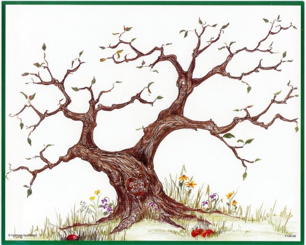 Нарисовать ветвистое дерево