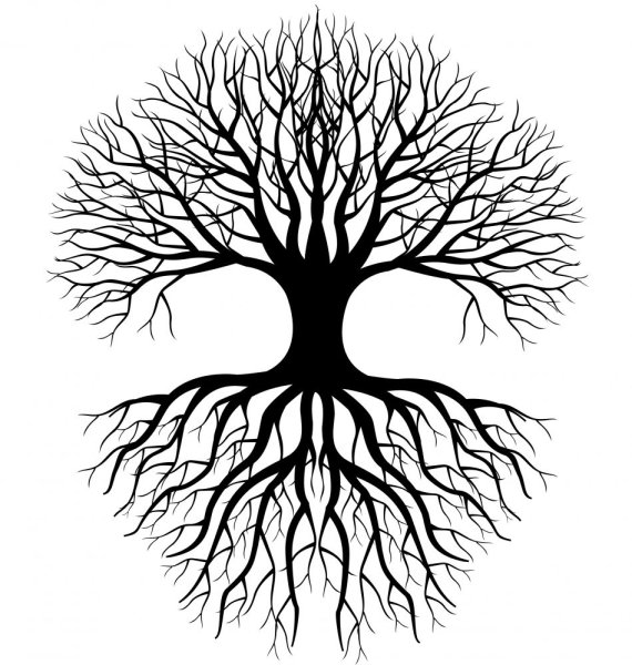 Силуэт дерева без листьев