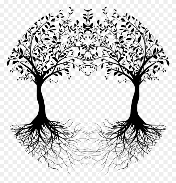 Силуэт дерева без листьев