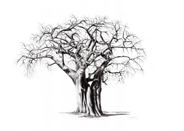 Дерево рисунок
