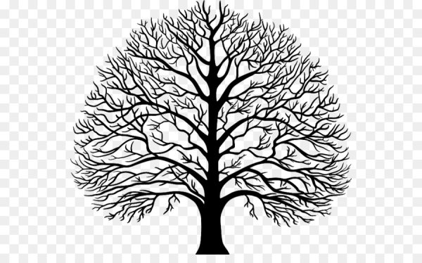 Ствол дерева без листьев