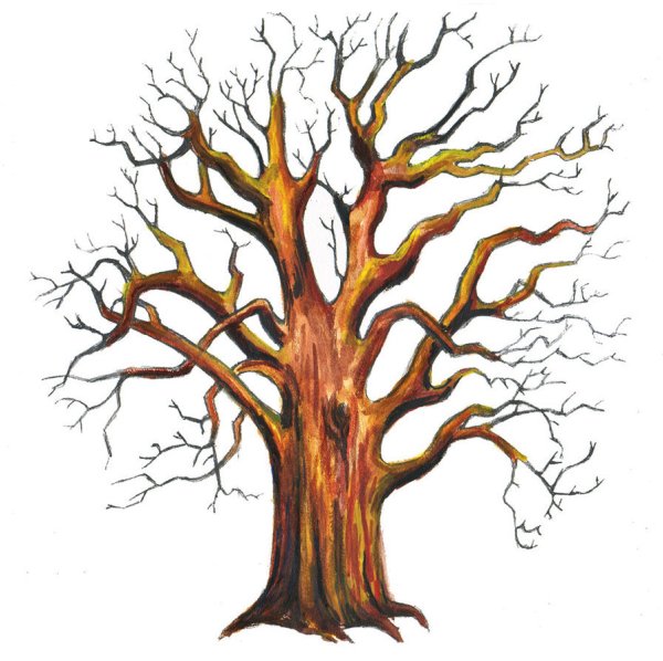 Ветвистое дерево карандашом
