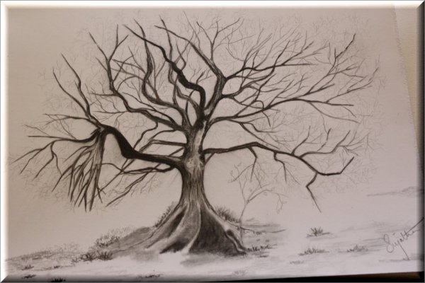 Дерево для рисования