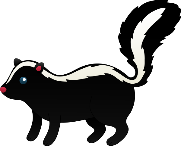 Скунс на белом фоне