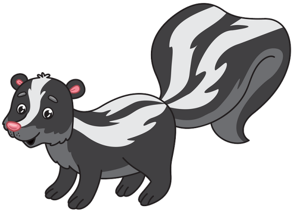 Скунс на белом фоне