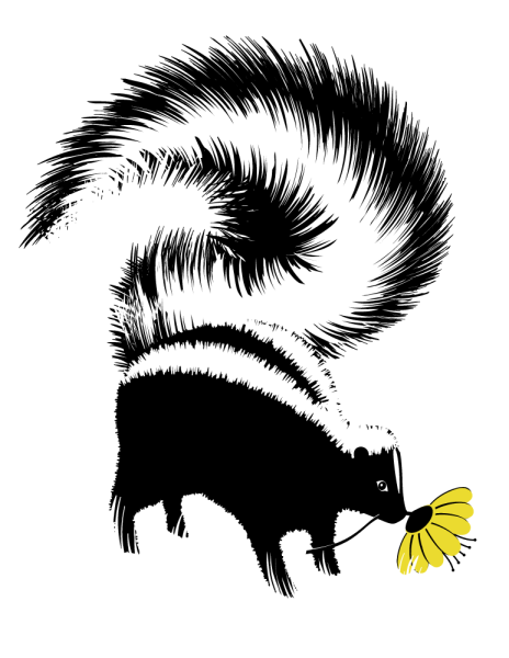 Скунс контур