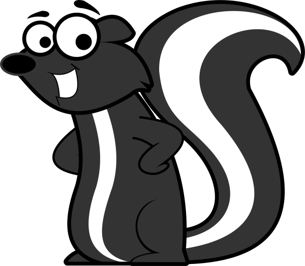 Скунс на белом фоне