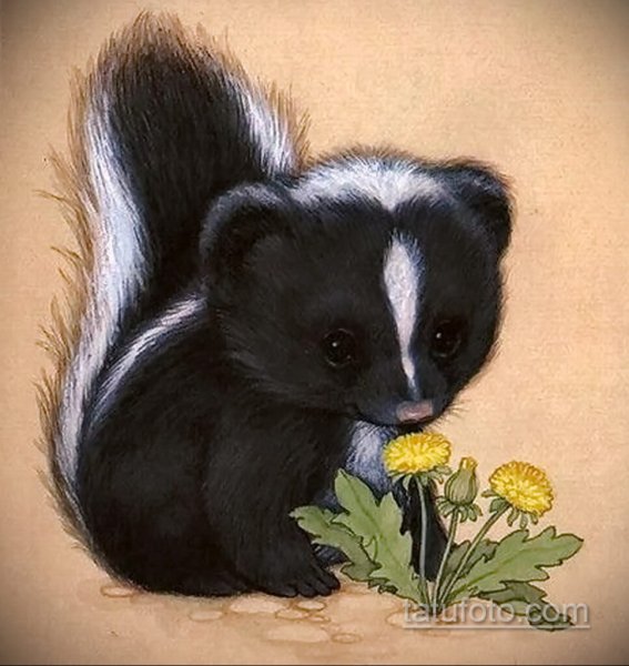 Скунс милый иллюстрации