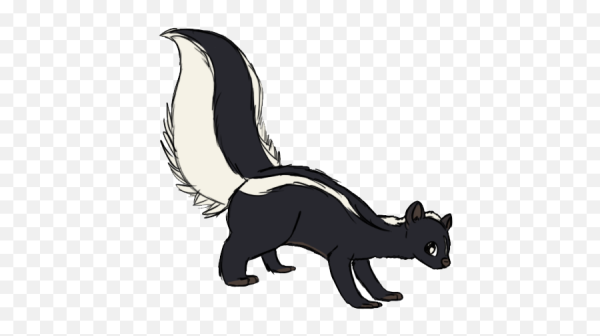 Скунс на прозрачном фоне