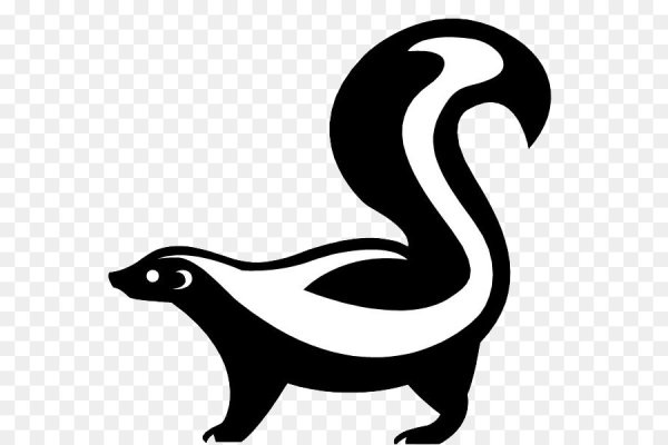 Нарисовать скунса