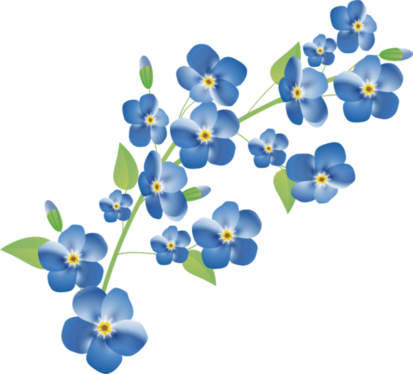 Незабудки на прозрачном фоне