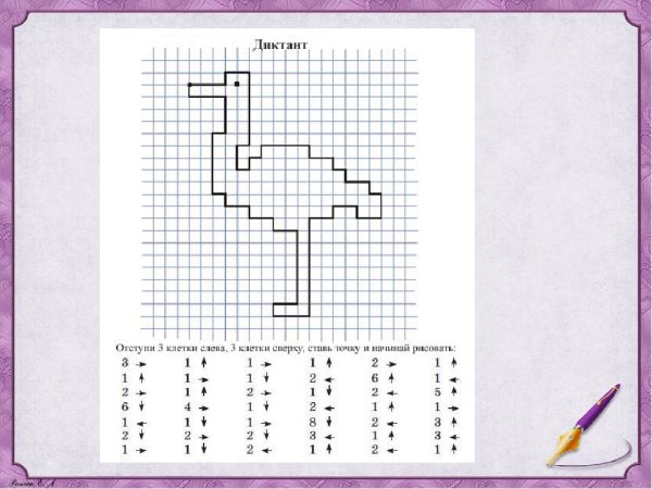 Графические диктанты. Птицы (для детей 4-6 лет)