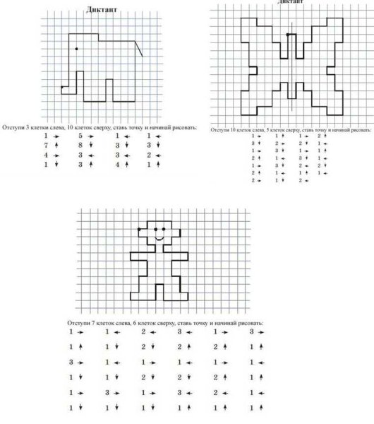 Клетка для графического диктанта для дошкольников 6-7 лет