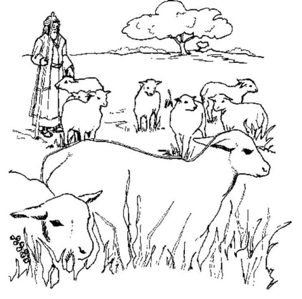 Народы гор и степей раскраска