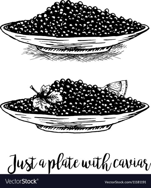 Черная икра вектор