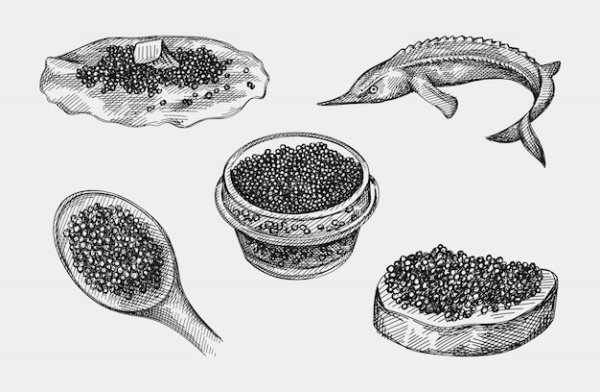 Черная икра