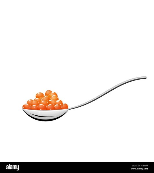 Икра вектор на белом фоне