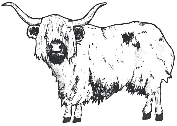 Векторное изображение яка