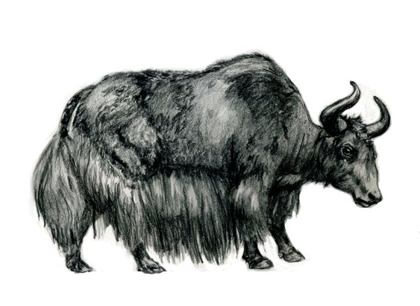 Як на белом фоне