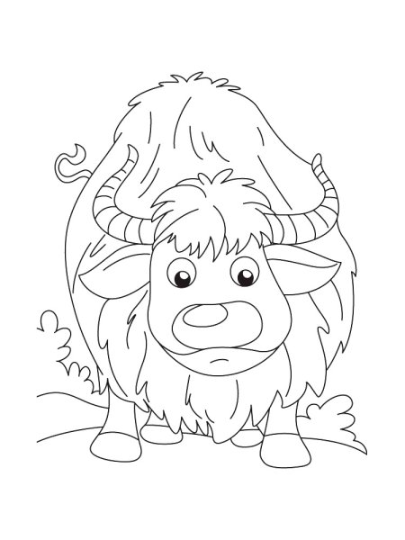 Овцебык раскраска для детей