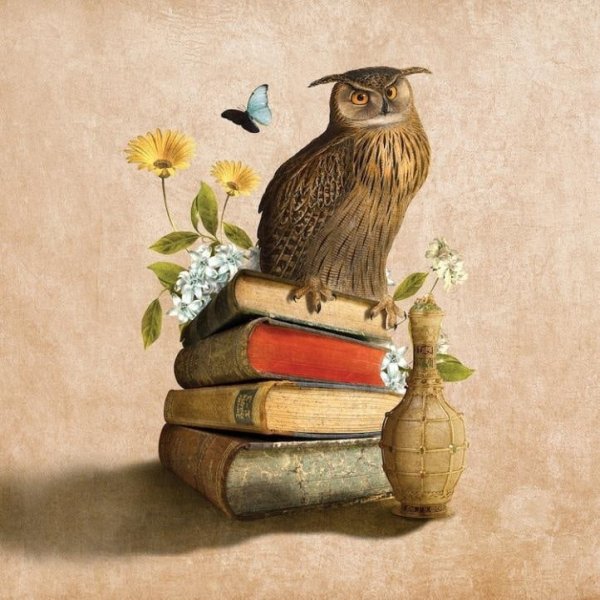 Знания мудрость