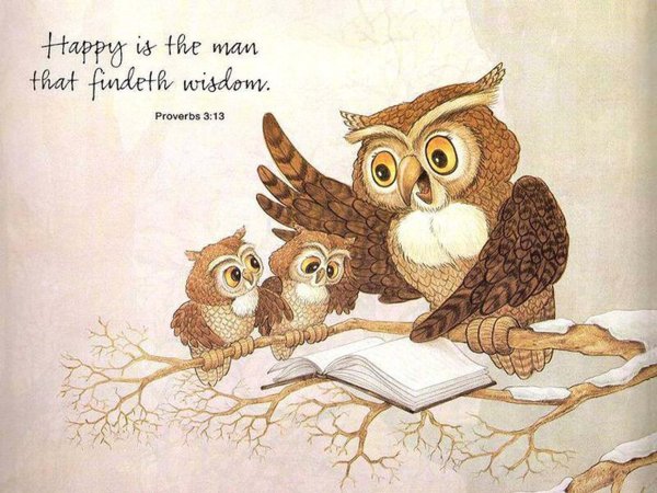 Сова с книгой