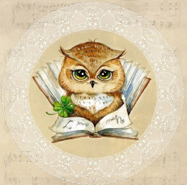 Инга Пальцер Совы школа