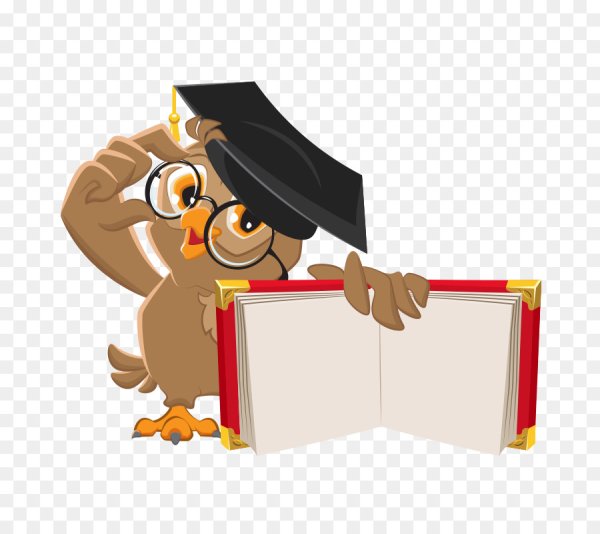 Умная Сова с книгой