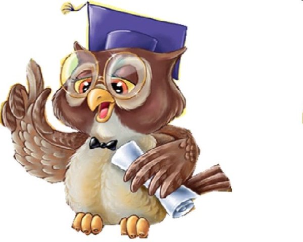 Мудрая Сова на белом фоне