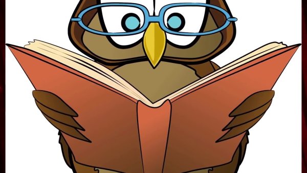Умная Сова с книжкой