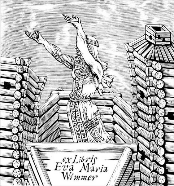 Слово о полку Игореве иллюстрации Ярославна