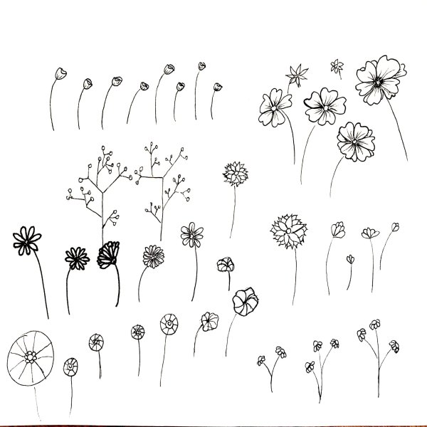 Цветы для рисования маленькие