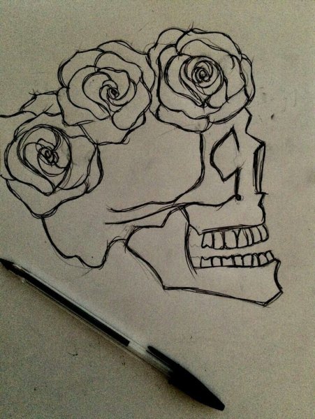 Рисунки ручкой для срисовки