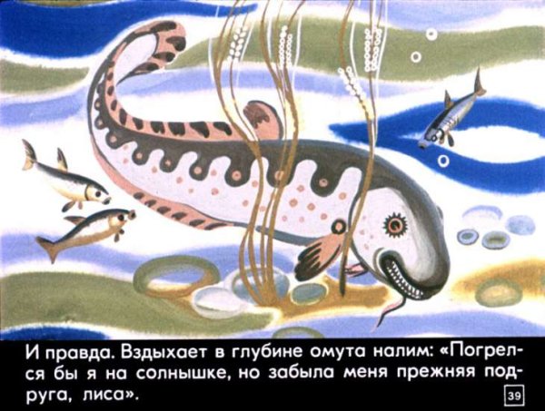 Налим иллюстрация