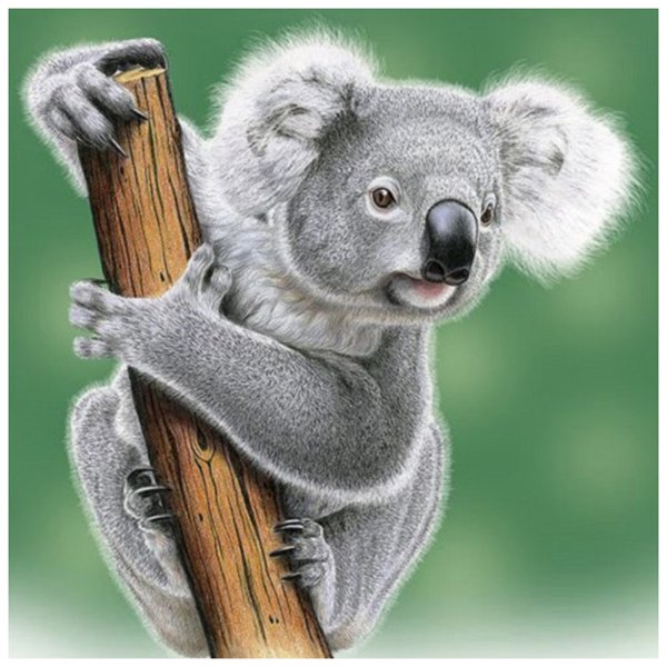 Коала мультяшная