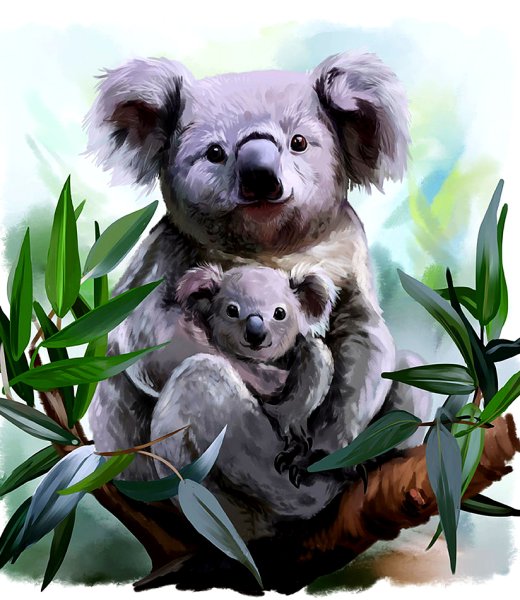 Алмазная мозаика коала