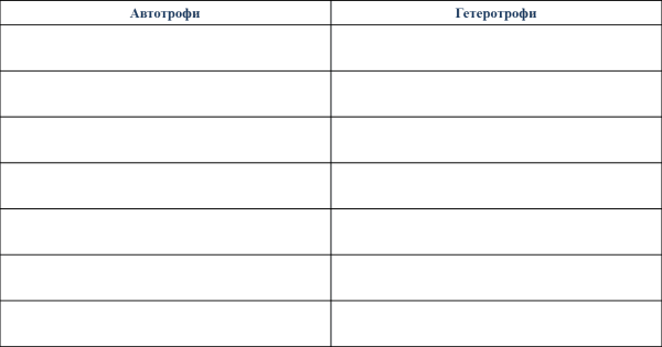 Оформление таблиц