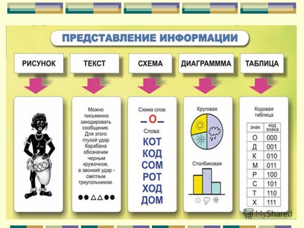 Схема органелл растительной клетки строение