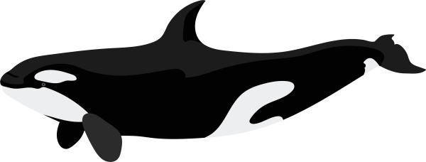 Кит рисунок