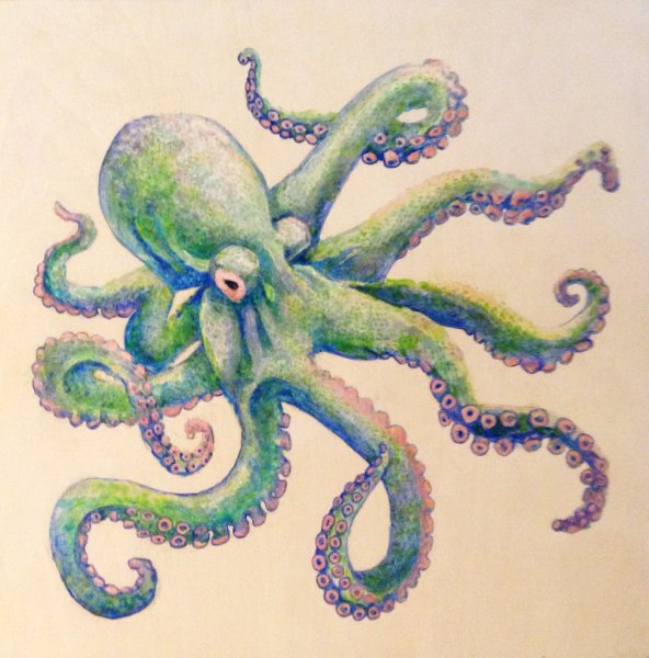 Осьминог цветными карандашами